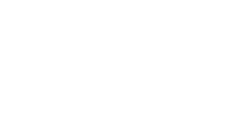 GovDeals Logo